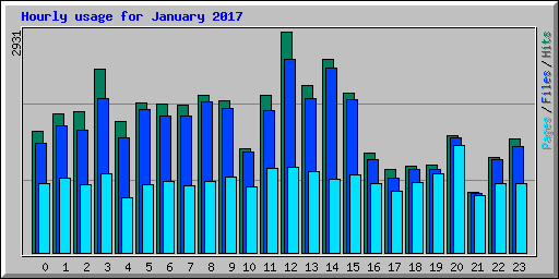 Hourly usage for January 2017