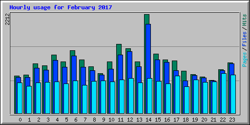 Hourly usage for February 2017